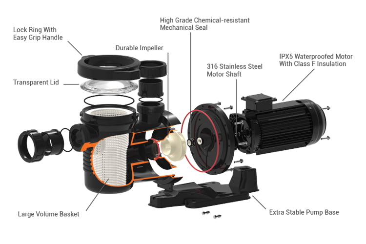 Commercial pool pump clearance motors